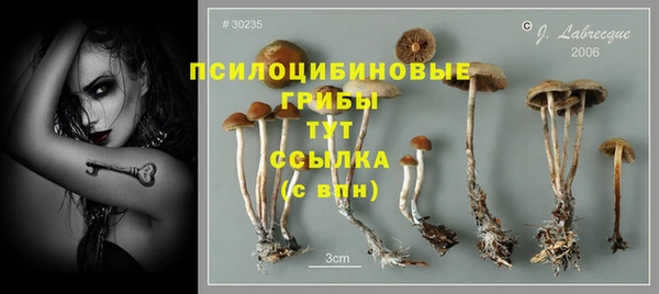 МДПВ Арсеньев