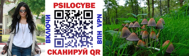 где продают omg рабочий сайт Псилоцибиновые грибы MAGIC MUSHROOMS Курган